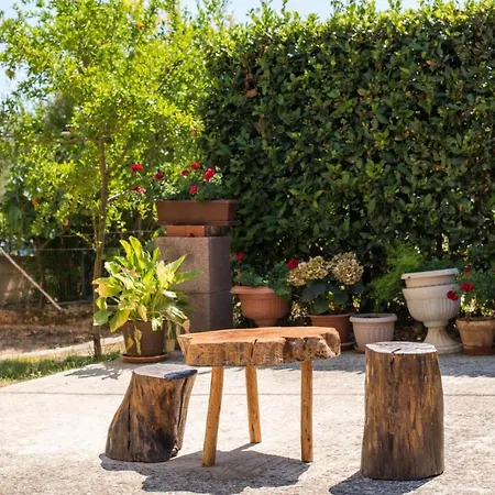 By The Sea Petrcane, Zadar - 17342 Apartman