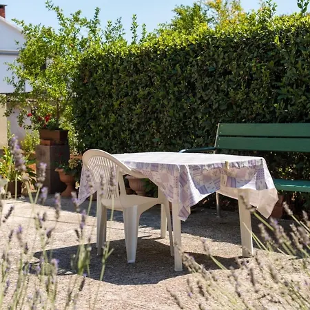 Apartman By The Sea Petrcane, Zadar - 17342 Petrcane